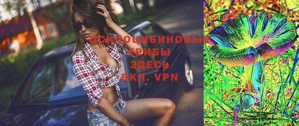 шишки Щигры